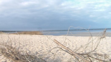 Baltic sea.